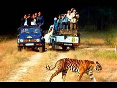 Valmiki National Park